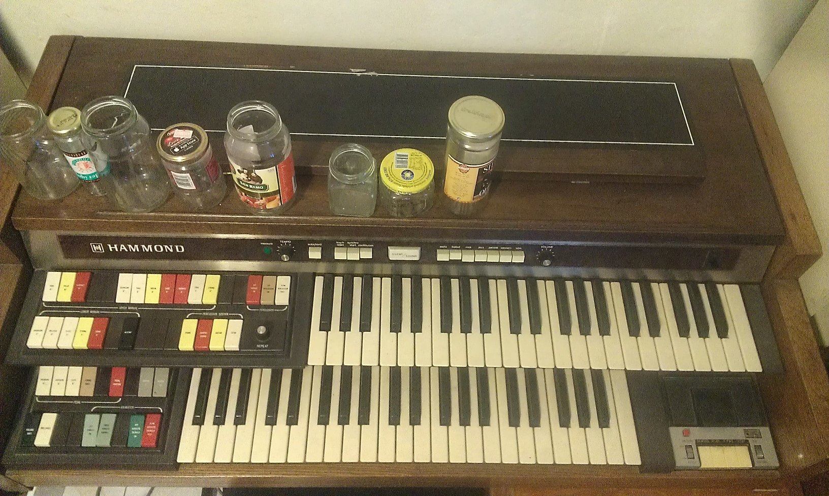 Rainbow Hammond
